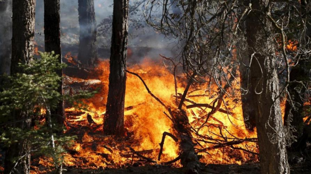 Stato massima pericolosità incendi boschivi a partire da 21/07/2022